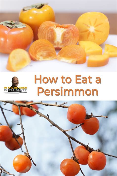 Jan 2, 2013 · How to eat a persimmon. This article is more than 11 years old. Sales of the fruit have more than doubled in the UK in the last year. What's the attraction – and what's the best way to eat one? 
